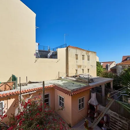 Aesthetic Riverview In Historical *